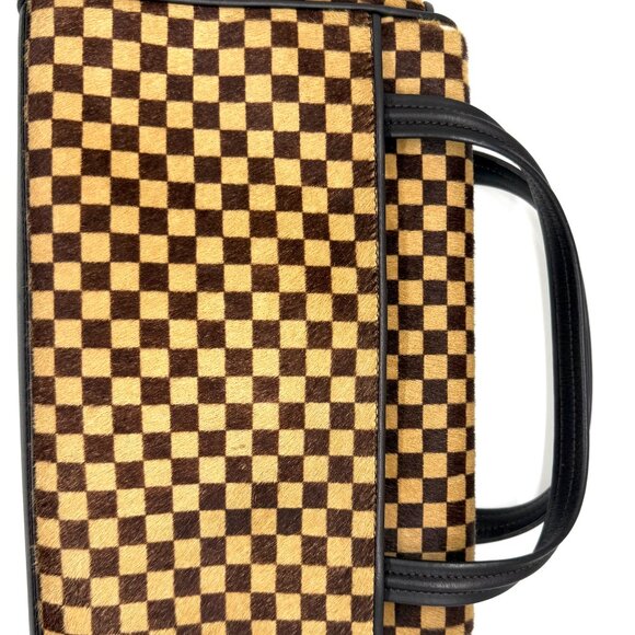Vintage Limited Edition Louis Vuitton Damier Sauvage Lionne Pony Hair Handbag - Picture 5 of 12